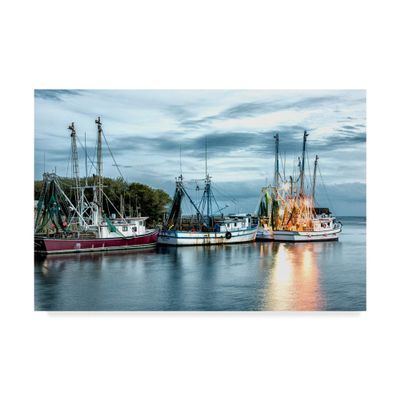 Trademark Fine Art WAG04866-C1624GG The Shrimping Fleet by Danny Head, 16x24,