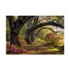 Trademark Fine Art WAG04850-C1624GG Under The Live Oaks I by Danny Head, 16x24, view 1