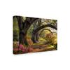 Trademark Fine Art WAG04850-C1624GG Under The Live Oaks I by Danny Head, 16x24, view 2