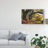 Trademark Fine Art WAG04850-C1624GG Under The Live Oaks I by Danny Head, 16x24, view 3