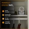 Dr. Killigan Premium Clothing Moth Traps with Pheromones Prime | Non-Toxic Clothes Moth Trap with Lure for Closets | Moth Killer Treatment & Prevention (6, White) view 2