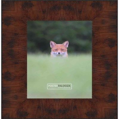 Poster Palooza 28x36 Contemporary Walnut Complete Wood Picture Frame with UV Acrylic Plexiglass, Foam Board Backing & Hardware Included
