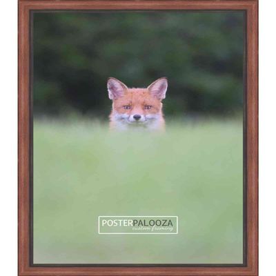 Poster Palooza 18x28 Traditional Mahogany Complete Wood Picture Frame with UV Acrylic Plexiglass, Foam Board Backing & Hardware Included