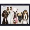 Poster Palooza 12x36 Frame Black Solid Wood Picture Frame | 0.75 Inch Moulding Width | Includes UV Acrylic Plexiglass, Foam Board Backing & Hanging Hardware view 1
