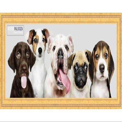 Poster Palooza 13.5x40 Traditional Gold Complete Wood Panoramic Frame with UV Acrylic Plexiglass, Foam Board Backing & Hardware Included