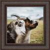 Poster Palooza 16x16 Ornate Bronze Complete Wood Square Picture Frame with UV Acrylic Plexiglass, Foam Board Backing & Hardware Included view 4