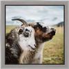Poster Palooza 10x18 Frame Silver Cross-Brushed Solid Wood Picture Frame | 1.25 Inch Moulding Width | Includes UV Acrylic Plexiglass, Foam Board Backing & Hanging Hardware view 4