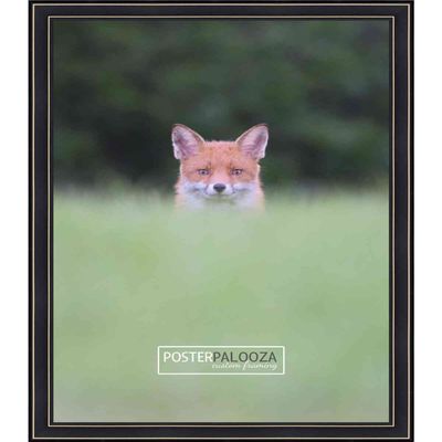 Poster Palooza 26x40 Contemporary Black Complete Wood Picture Frame with UV Acrylic Plexiglass, Foam Board Backing & Hardware Included