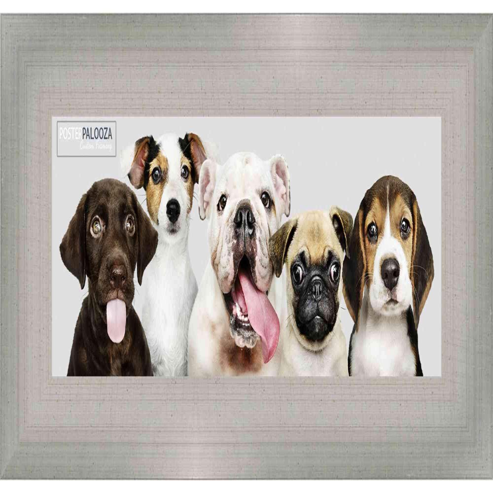 Poster Palooza 10x24 Contemporary Silver Complete Wood Picture Frame with UV Acrylic Plexiglass, Foam Board Backing & Hardware Included