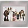 Poster Palooza 10x24 Contemporary Silver Complete Wood Picture Frame with UV Acrylic Plexiglass, Foam Board Backing & Hardware Included view 1