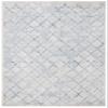 SAFAVIEH Area Rug 8x10 - Brentwood Collection - Large - Light Grey & Blue, Trellis Distressed Non-Shedding & Easy Cleaning, Ideal for Living Room, Bedroom, Office, Dining Space (BNT809G) view 3