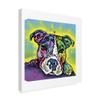 Trademark Fine Art The Baby Pit Bull by Dean Russo, 18x18 view 2