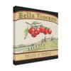 Trademark Fine Art Tuscan Flavor V by Daphne Brissonnet, 24x24 view 2