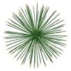Three Hands 49282 9" Green-Starburst ORB Gold view 1