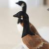 Artificial Canadian Geese | 12 Birds | Designed for Indoor use view 3