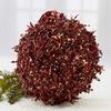 Factory Direct Craft Metallic Burgundy and Gold Acrylic Iced Kissing Ball view 1