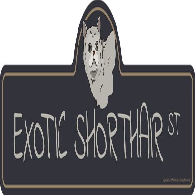 Exotic Shorthair Street Sign | Indoor/Outdoor | Dog Lover Funny Home Dcor for Garages, Living Rooms, Bedroom, Offices | SignMission Personalized Gift | 18" Wide