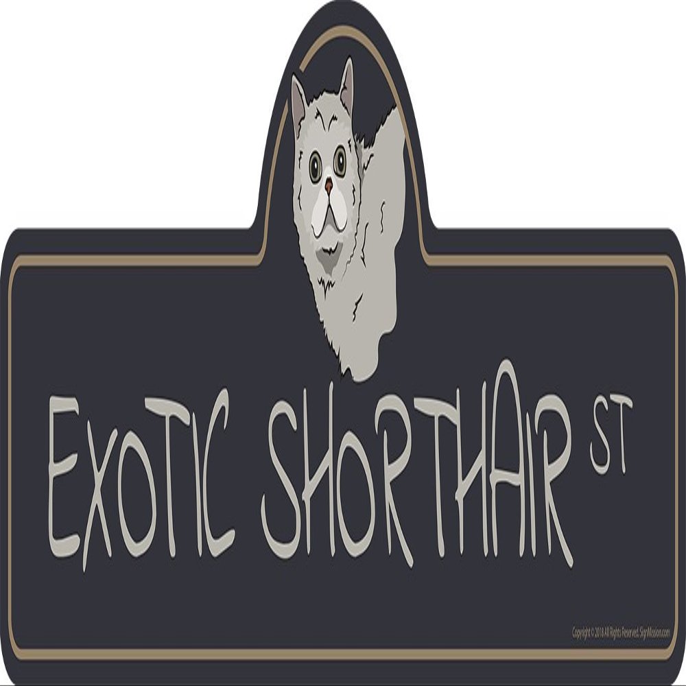 Exotic Shorthair Street Sign | Indoor/Outdoor | Dog Lover Funny Home Dcor for Garages, Living Rooms, Bedroom, Offices | SignMission Personalized Gift | 18" Wide