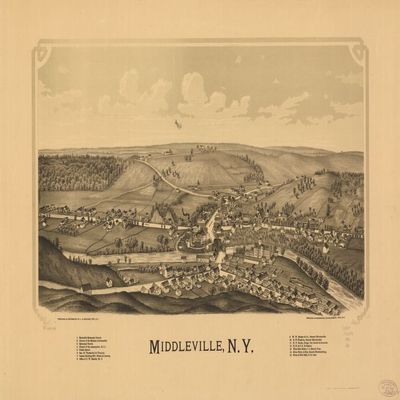 16" x 24" 1890 Map of Middleville New York