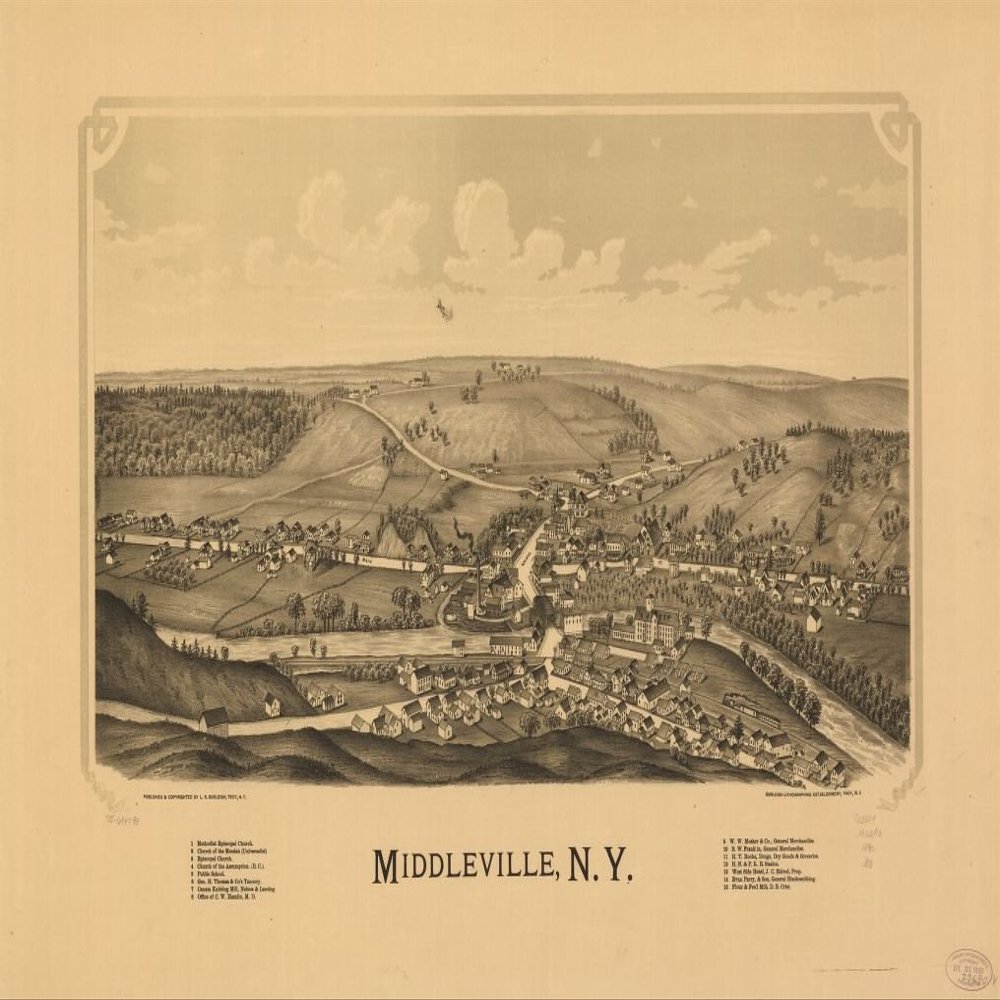 16" x 24" 1890 Map of Middleville New York