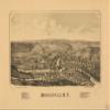 16" x 24" 1890 Map of Middleville New York view 1