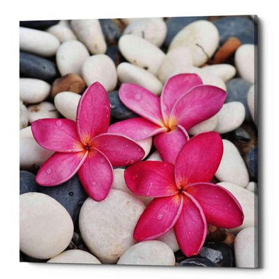 Epic Graffiti 'Shintai II' Canvas Wall Art, 12"x12"
