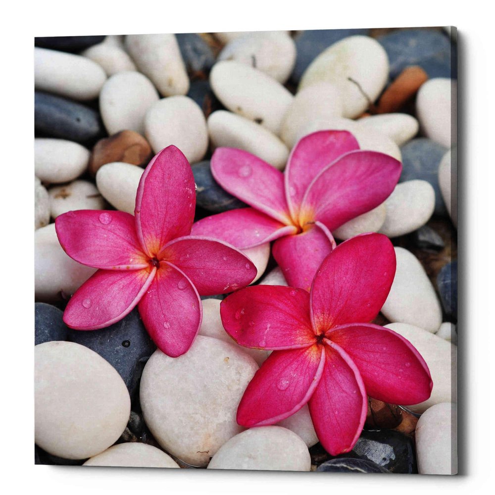 Epic Graffiti 'Shintai II' Canvas Wall Art, 12"x12"