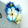GRADWYSE Silver Glitter Graduation Cap Topper with Flowers, Finally Done with This B.Sci. view 3