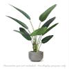 AMERIQUE Gorgeous Tropical Bird Of Paradise Plant Artificial Tree, UV Protection, Nursery Plastic Pot, Feel Real Technology, Super Quality, 4.6' view 3