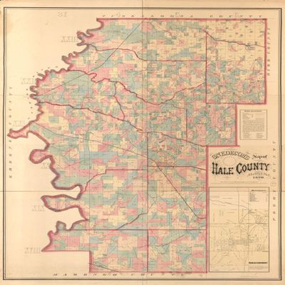 18" x 24" 1870 Snedecor's Map of Hale County Alabama