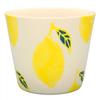 24to3(Nishitomi) Hasami Ware Kikusho Kiln Fruit Multi-Cup Lemon view 1