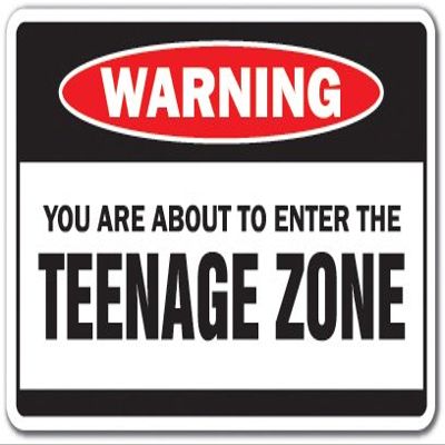 You are About to Enter The Teenage Zone Warning Decal Children Kids