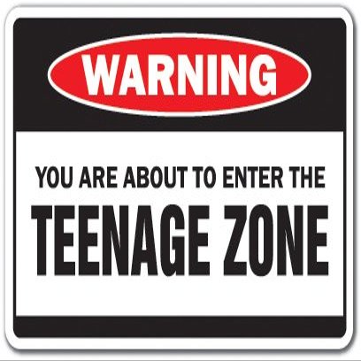 You are About to Enter The Teenage Zone Warning Decal Children Kids