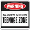 You are About to Enter The Teenage Zone Warning Decal Children Kids view 1