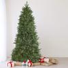 Northlight 9' Pre-Lit Instant Connect Neola Fraser Fir Artificial Christmas Tree - Dual LED Lights view 2