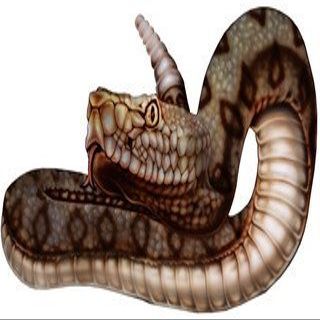 30" rattlesnake r MAGNET Vinyl Car Fridge Sticks to any Metal Surface