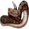 30" rattlesnake r MAGNET Vinyl Car Fridge Sticks to any Metal Surface view 1