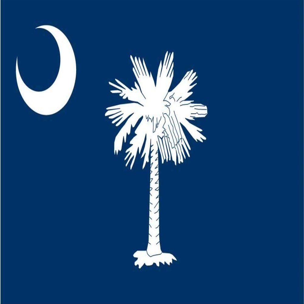 18" South Carolina flag. MAGNET Vinyl Car Fridge Sticks to any Metal Surface