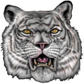 18" white tiger r MAGNET Vinyl Car Fridge Sticks to any Metal Surface