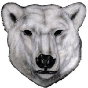 18" polar bear head r MAGNET Vinyl Car Fridge Sticks to any Metal Surface