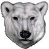 18" polar bear head r MAGNET Vinyl Car Fridge Sticks to any Metal Surface view 1