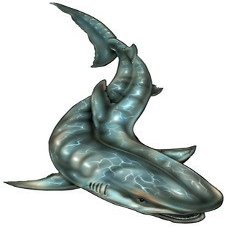30" swimming shark r MAGNET Vinyl Car Fridge Sticks to any Metal Surface