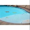 Small Gecko Ceramic Swimming Pool Mosaic (6", Red) view 4