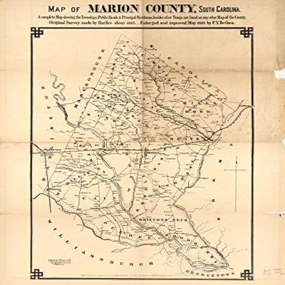 18" x 24" 1882 Map of Marion County South Carolina