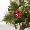 Factory Direct Craft Weather Resistant Artificial Variegated Holly and Berry Bush - Fake Holly for Indoor and Outdoor Christmas Arrangements and Holiday Decorating (18 Inches High) view 2