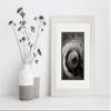 Perfect Cases Rustic White Picture Frame | 8.5x11 Real Wood Frame | Beachwood White 1 1/2" | With White Matboard view 3