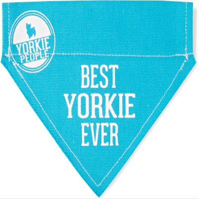 Pavilion - Best Yorkie Ever - Sky Blue Canvas Small Dog Bandana Collar - 7" x 5"