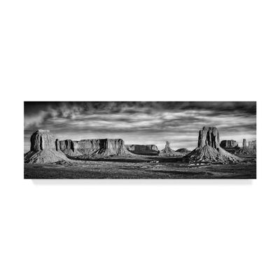 Trademark Fine Art Black and White Desert View VII by David Drost, 10X32