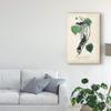 Trademark Fine Art Flycatcher and King Bird by John James Audubon, 22x32 view 3