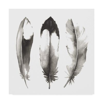 Trademark Fine Art Watercolor Feathers II by Grace Popp, 24x24